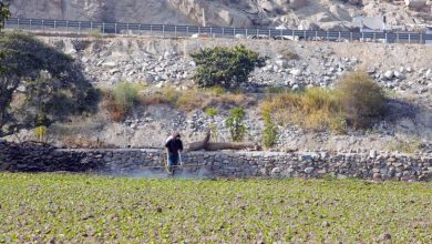 La CEPAL proyecta una ralentización de la economía regional durante 2023
