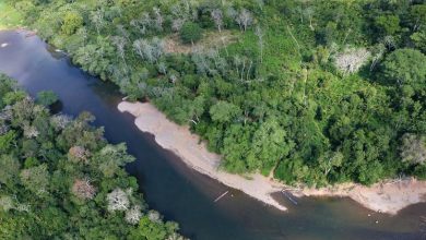 Se multiplica por seis el número de migrantes y refugiados que atraviesa la jungla del Darién
