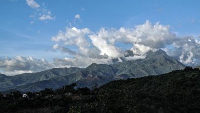 Violencia en Haití, desarrollo sostenible en América Latina, Honduras, turismo de montaña… Las noticias del miércoles