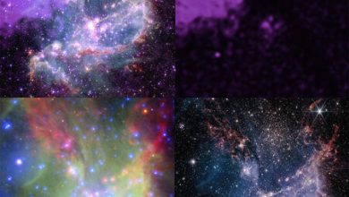 Así de increíbles son las imágenes del universo vistas por el telescopio James Webb con rayos X, la ayuda del Hubble y del Spitzer