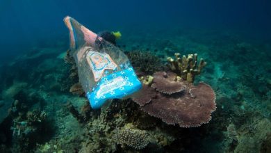 Economía, contaminación por plásticos, inteligencia artificial... Las noticias del martes
