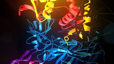 El inédito uso de la Inteligencia Artificial que encontraron científicos: crear proteínas y anticuerpos bajo diseño