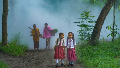 Foro de las Naciones Unidas sobre los Bosques: 5 cosas que debes saber