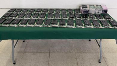 La policía descubre 1.3 millones de pesos en tarjetas gráficas NVIDIA custodiadas por langostas vivas