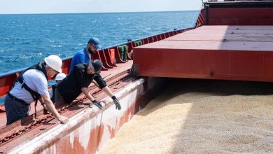 Las exportaciones de la Iniciativa de Granos del Mar Negro superan los 30 millones de toneladas
