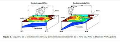 Qué es 'El Niño': el fenómeno climático que según pronósticos impactará con fuerza en México, según expertos