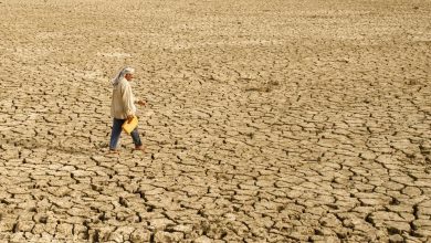 Sudán, crisis climática, refugiados en América Latina, día contra la homofobia… Las noticias del miércoles