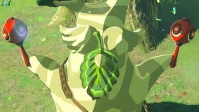 ‘The Legend of Zelda: Breath of the Wild’: no era necesario encontrar las 900 semillas de Kolog, el desarrollador troll que nos ganó a todos
