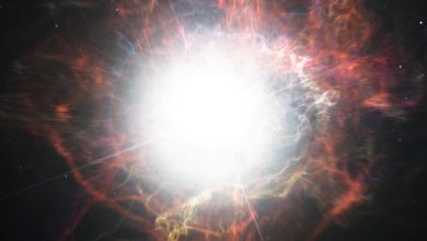 Una estrella explotó hace 21 millones de años luz: no sería tan importante, excepto porque ahora vemos su supernova "en tiempo real"