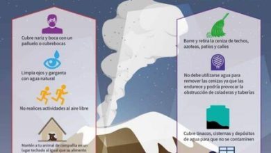 Volcán Popocatépetl en amarillo fase 2: estas son las alcaldías de CDMX con ceniza volcánica, y cierra el Aeropuerto Benito Juárez