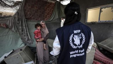 Día Mundial de los Refugiados, Cisjordania, R. D. Congo, leche materna…Las noticias del martes