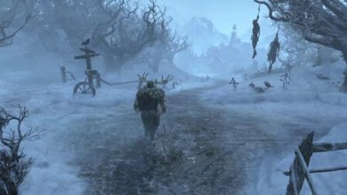 Diablo 4: fanático estaba a punto de cumplir el reto de llegar a nivel 100 en modo hardcore y muere a tan solo 5% de completarlo