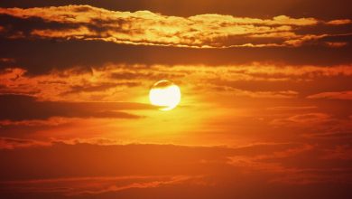Más de 40 grados para dos tercios de México: la ola de calor no da tregua en el país, estos son los estados más afectados