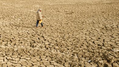 Niños en conflictos, ODS, COVID prolongado... Las noticias del martes