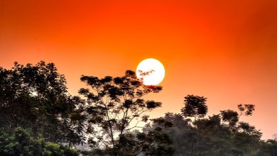 Nueve estados de México se enfrentan a más de 45 grados porque el calor de la tercera ola no hace más que empeorar