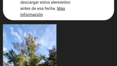 Qué es el Archivo de Álbumes de Google, por qué cierra en julio y cómo descargar todas tus fotos de forma sencilla