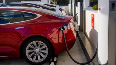 Tesla y las violaciones a Derechos Humanos en la minería: compra gran parte de sus componentes a una empresa con más de 70 denuncias