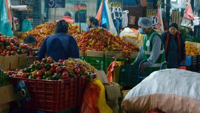 Una herramienta facilitará la producción y distribución segura de alimentos