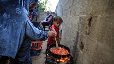 Ayuda a Siria, Palestina, Estados Unidos ya está en la UNESCO... Las noticias del martes