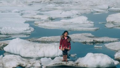 De China a Estados Unidos, el verano boreal está marcado por los récords de temperaturas e incendios