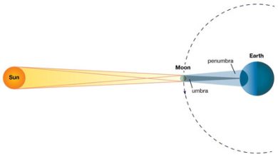 Eclipse solar anular de 2023 en México: estos son todos los estados y horarios para ver el próximo eclipse de Sol