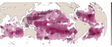 El agua de los océanos está aumentando su temperatura, pero también está comenzando a cambiar de color