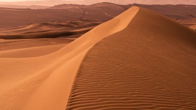 El polvo del Sahara llega a México: cómo funciona y para qué sirve el fenómeno que se repite año con año