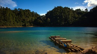 Estas lagunas de Chiapas se están volviendo verdes y los peces mueren: la culpa es, como casi siempre, de quienes viven alrededor