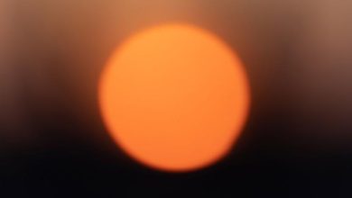 Frente a las olas de calor, la OMS recomienda usar el sentido común y quedarse en casa