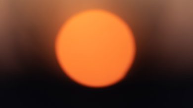 Gripe aviar, ola de calor, Mundial femenino de fútbol... Las noticias del miércoles