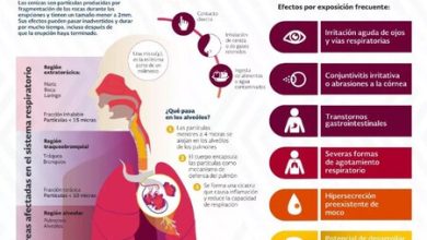 Hay caída de ceniza en media Ciudad de México: estas son las alcaldías afectadas y las recomendaciones a tomar
