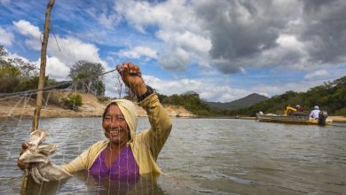Iniciativa del Mar Negro, pueblos indígenas, Haití... Las noticias del lunes