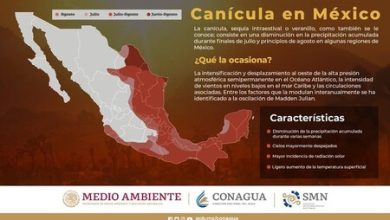 Sobre la Canícula 2023 Conagua aclara: ni durará 40 días ni es el periodo de mayor calor en México