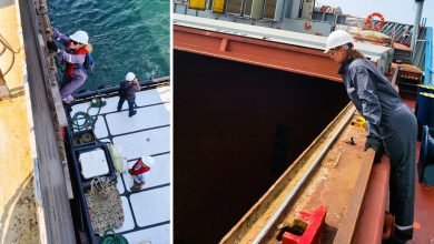Un año de la Iniciativa del Mar Negro: hechos y cifras clave