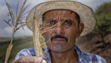 Arranca un Plan para hacer frente a El Niño en América Latina