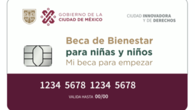 Cómo consultar el saldo de "Mi Beca para Empezar" desde WhatsApp y cuáles son los montos que recibirán en 2023