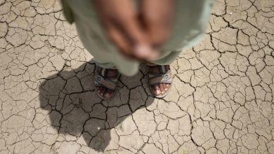El 76% de los niños de Asia meridional están expuestos a temperaturas extremadamente altas