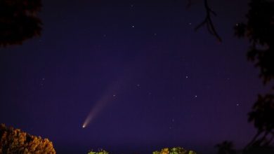 El cometa Nishimira se verá desde México: cuándo, cómo y a qué hora ver el cometa descubierto este mismo año