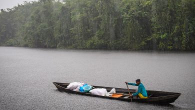 En bote, tractor o por avión: la ayuda humanitaria llega hasta las comunidades indígenas más remotas en Guyana