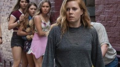 Esta mini serie con Amy Adams de protagonista es una historia de crímenes y traumas, tiene solo ocho capítulos y se puede ver en HBO Max