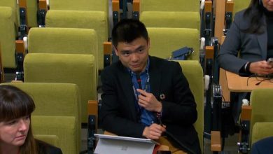 “La ONU es una víctima de la desinformación", un periodista explica por qué