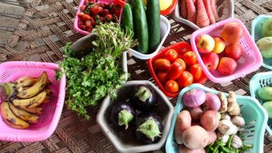 Mientras crece la hambruna, se desperdician 570 millones de toneladas de alimentos al año