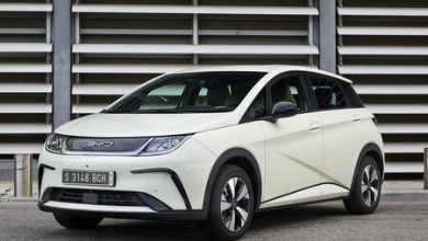 BYD Dolphin 2024: precio y lanzamiento oficial en México del auto eléctrico más barato de la nueva automotriz china en el país