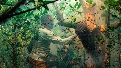 Crímenes de guerra en Ucrania, Patrimonio Mundial, acceso al aborto... Las noticias del lunes