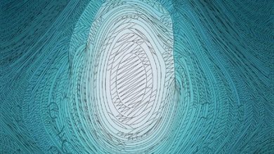 CURP con fotografía y huellas dactilares en México: Morena quiere revivir la idea de una identificación oficial bajo el ojo de SEGOB