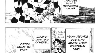 'Demon Slayer: Kimetsu no Yaiba - Corps Records': el epílogo oficial muestra la vida de Tanjiro y Nezuko después del final del manga