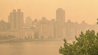 El verano más caluroso: temperaturas récord, deshielo y aire insalubre para el 99% de la población