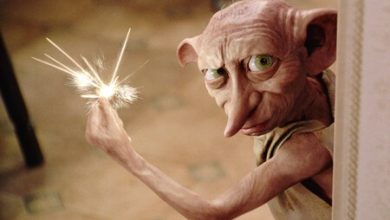 La cuarta película de Harry Potter ha omitido el argumento más polémico en los libros: los fans aún discuten sobre la increíble trama de Hermione