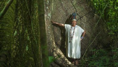 Los gobiernos latinoamericanos deben proteger a los defensores de los derechos humanos y el medio ambiente