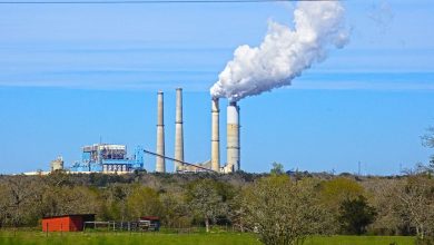 Sin energías renovables no puede haber futuro: 5 formas de impulsarlas